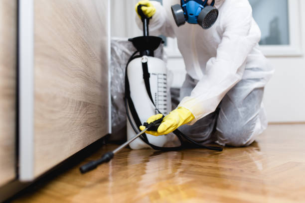 Best Commercial Pest Control Services  in Bluefield, WV
