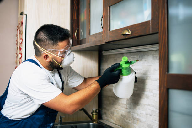 Best Mosquito Control Services  in Bluefield, WV