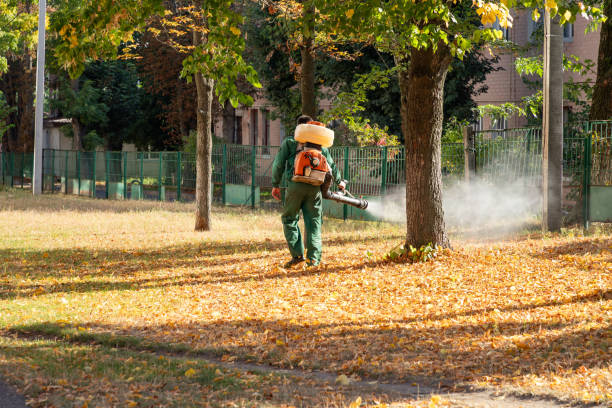 Best Exterminator Services  in Bluefield, WV