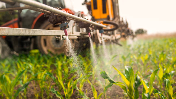 Best Pest Removal Services  in Bluefield, WV