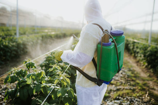 Best Bed Bug Extermination  in Bluefield, WV